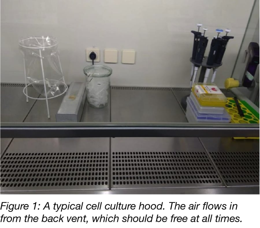 10 Basic tips for mammalian cell culture